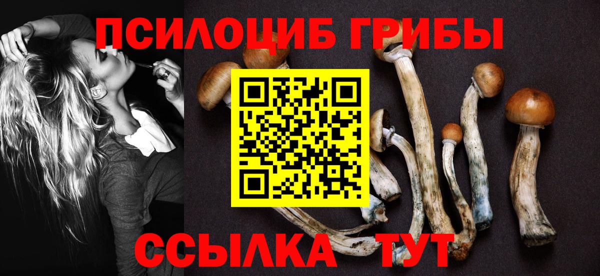 купить   Галлюциногенные грибы мухоморы  Вход с VPN  Торжок 